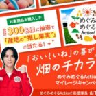 旬の果実や収穫お手伝いツアーも当たるカゴメのレシートキャンペーン