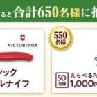 テーブルナイフやえらべるPayが当たるカゴメのレシートキャンペーン