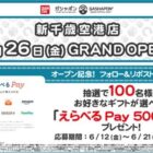 えらべるPay 500円分