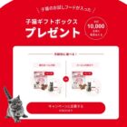 子猫のお試しフード