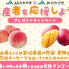 和歌山県産「桃」＆宮崎県産「完熟マンゴー」