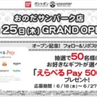 えらべるPay 500円分
