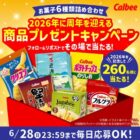 Calbee商品詰め合わせ