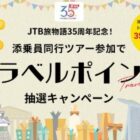 トラベルポイント 35,000ポイント