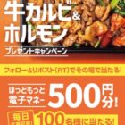 ほっともっと電子マネー 500円