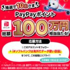 PayPayポイント 10万円相当