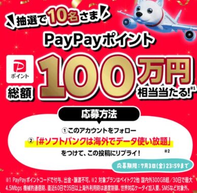 PayPayポイント 10万円相当