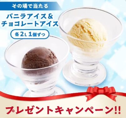 バニラアイス&チョコレートアイス