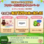 ポコフィギュアシリーズセット / Amazonギフトカード 1,000円分
