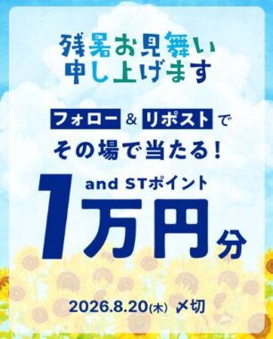 and ST ポイント 1万円分