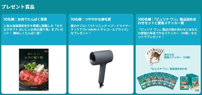 カタログギフトやヘアドライヤーなどが当たるクローズドキャンペーン