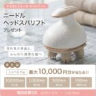 ニードルヘッドスパリフト / えらべるPay 最大10,000円分