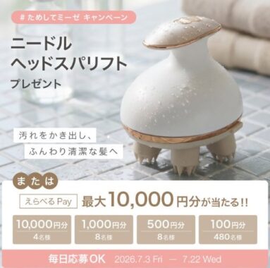 ミーゼの頭皮ケア「ニードルヘッドスパリフト」やえらべるPayが当たるX懸賞