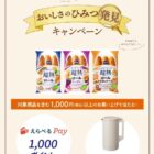 えらべるPay 1,000ポイント / recolte 自動調理ポット