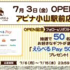えらべるPay 500円分