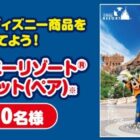 ディズニーリゾート パークチケット