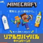 マインクラフトグッズ、えらべるPay など