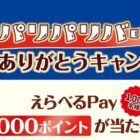えらべるPay 1,000ポイント