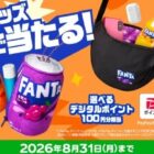 デジタルポイント 100円分 / ショルダーバッグ / クッションポーチ