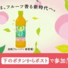 綠＆白桃フレーバー 飲み比べセット