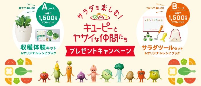 収穫体験キット / サラダツールセット