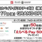えらべるPay 500円分