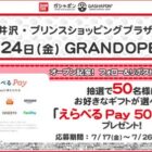 えらべるPay 500円分