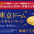 純金製オリジナル東京ドーム 72万円相当 / 三井ショッピングパークポイント 10,000ポイント