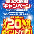 全プレ！えらべるPayのポイントバックが必ずもらえるお得なキャンペーン