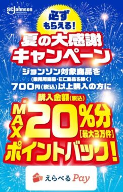全プレ！えらべるPayのポイントバックが必ずもらえるお得なキャンペーン