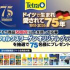 フォルクスワーゲン オリジナルグッズが当たるテトラ商品購入キャンペーン