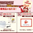 蒸し器兼用電気片手鍋 / えらべるPay 500円分
