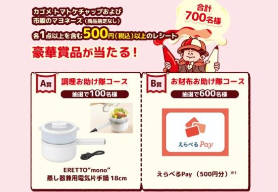 蒸し器兼用電気片手鍋 / えらべるPay 500円分