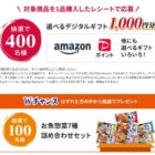 Wチャンスもアリ！デジタルギフトが当たるニッスイのレシート懸賞