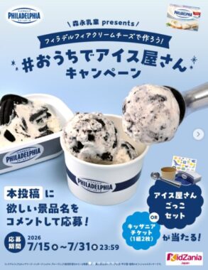 アイス屋さんごっこセット