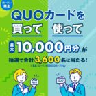 専用QUOカードPay 最大10,000円分