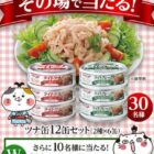 ツナ缶 12缶セット