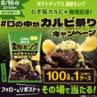 濃厚キングねぎ塩カルビ味 1ケースがその場で当たる豪華Xキャンペーン