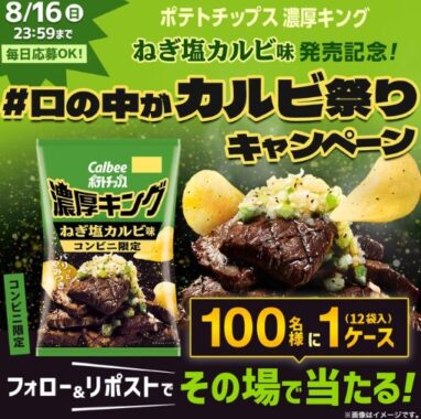 濃厚キングねぎ塩カルビ味 1ケース