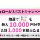 えらべるPay 最大10,000円分