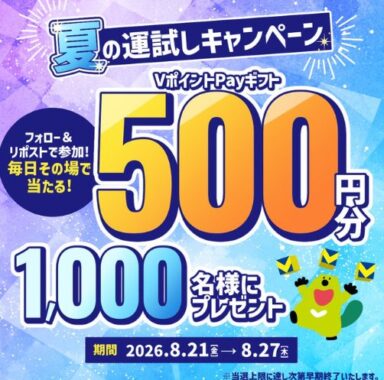 VポイントPayギフト 500円分