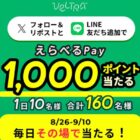 えらべるPay 1,000ポイント