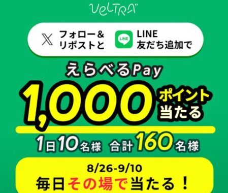えらべるPay 1,000ポイント
