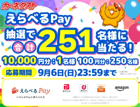 えらべるPay 最大1万円分