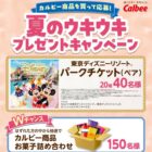 ディズニーリゾートパークチケット / カルビーお菓子詰め合わせ