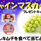 シャインマスカットや長野県産コシヒカリなども当たる豪華キャンペーン