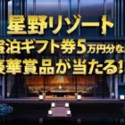 星野リゾート宿泊ギフト券 5万円分 / Visaギフトカード 1,000円分