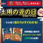 えらべるPay 500ポイント