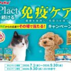 えらべるPay 最大3,000ポイント / Plactセット