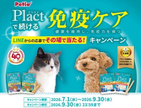 Wチャンスもアリ!えらべるPayがその場で当たるペティオのクローズド懸賞
